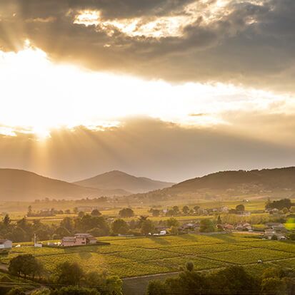 Paysage du Beaujolais