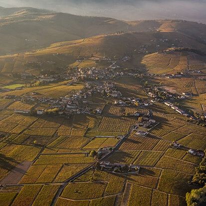 Paysage du Beaujolais