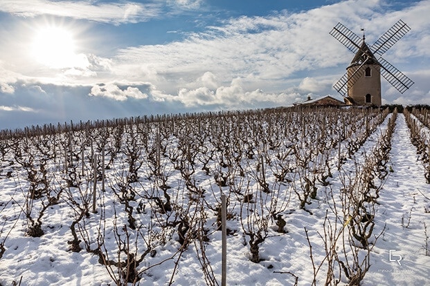 SALONS DES VINS 2022