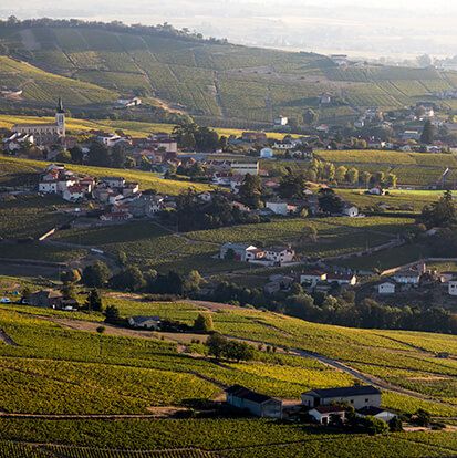 Paysage du Beaujolais