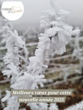Meilleurs Vœux !