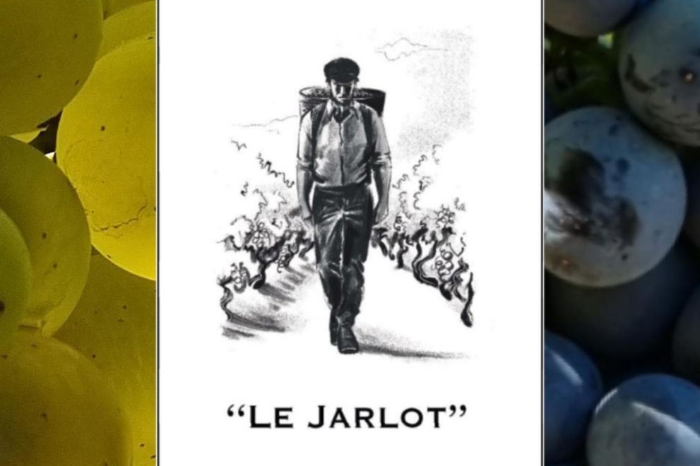Une nouveauté cette année : « Le Jarlot »